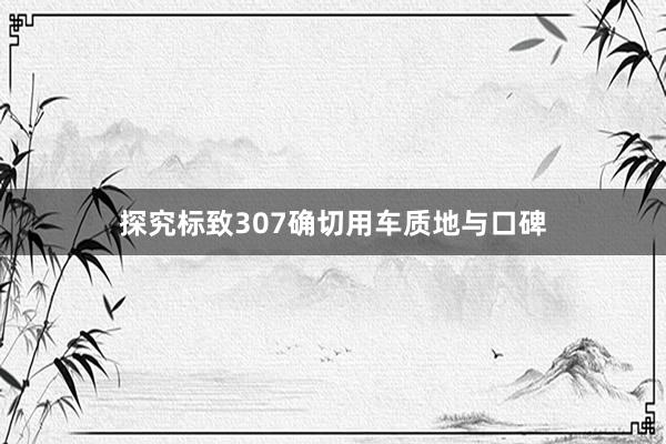 探究标致307确切用车质地与口碑