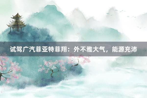 试驾广汽菲亚特菲翔：外不雅大气，能源充沛